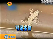 萬能的朋友圈，如果你能解釋通這組圖；凈水設(shè)備就可以不要了